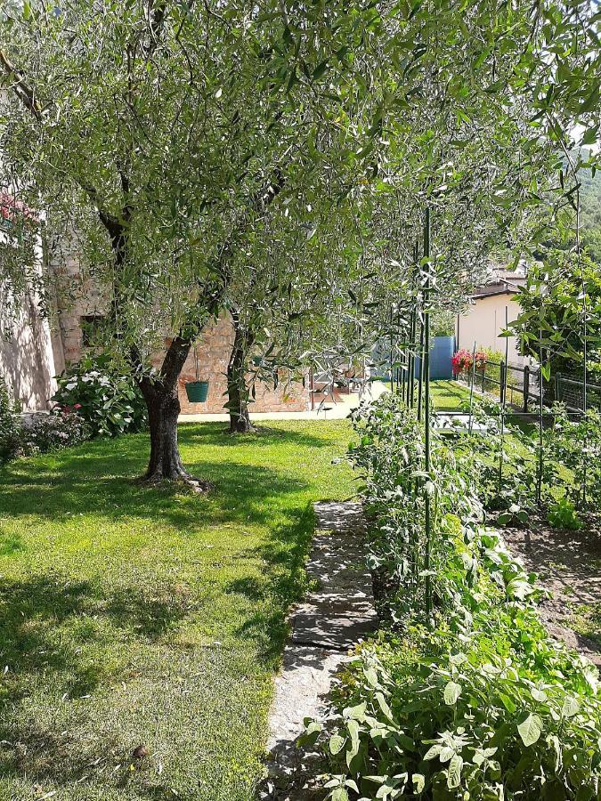 Apartment Maria Brenzone sul Garda Εξωτερικό φωτογραφία